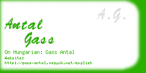 antal gass business card